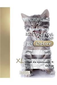 Práctica Dibujo [Color] - XL Libro de ejercicios 9