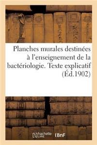 Planches Murales Destinées À l'Enseignement de la Bactériologie