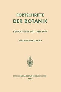 Bericht A1/4ber Das Jahr 1957