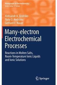 Many-Electron Electrochemical Processes