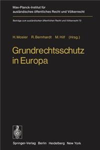 Grundrechtsschutz in Europa