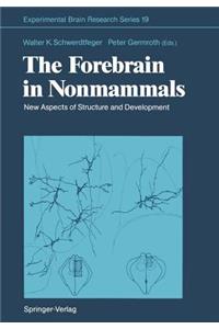 Forebrain in Nonmammals