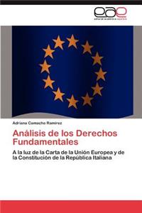 Analisis de Los Derechos Fundamentales