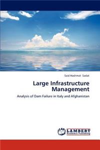 Large Infrastructure Management