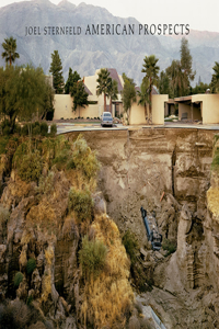 Joel Sternfeld: American Prospects