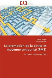 Promotion de la Petite Et Moyenne Entreprise (Pme)