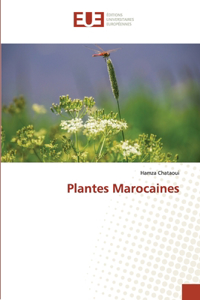 Plantes Marocaines