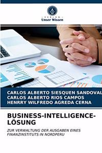 Business-Intelligence-Lösung