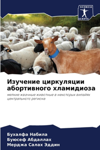 Изучение циркуляции абортивного хламиди&