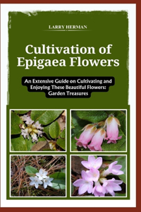 Cultivation of Epigaea Flowers