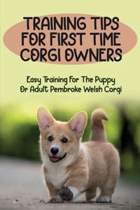 Training Tips For First Time Corgi Owners