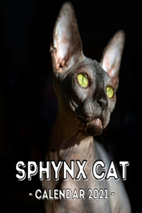 Sphynx Cats