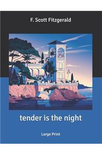 tender is the night