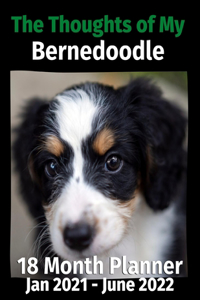 Thoughts of My Bernedoodle: 18 Month Planner Jan 2021-June 2022