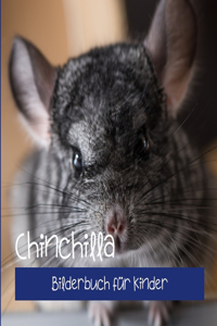 Chinchilla