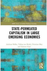 State-permeated Capitalism in Large Emerging Economies