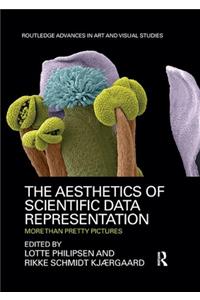 The Aesthetics of Scientific Data Representation