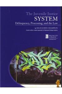 Juvenile Justice System: Delinquency, Processing, & the Law