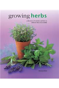 Growing Herbs