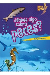 ¿Sabes algo sobre peces? (Do You Know about Fish?)