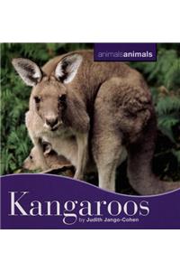 Kangaroos