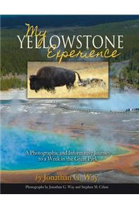 My Yellowstone Experience