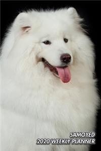 Samoyed 2020 Weekly Planner