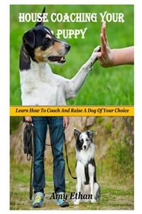 House coaching Your Puppy