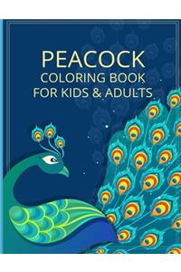 Peacock Coloring Book For Kids & Adults