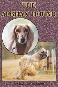 Afghan Hound