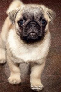 Pug Puppy Dog Notebook