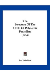 The Structure Of The Ocelli Of Polyorchis Penicillata (1914)