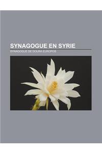 Synagogue En Syrie: Synagogue de Doura Europos