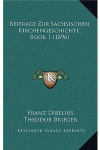 Beitrage Zur Sachsischen Kirchengeschichte, Book 1 (1896)