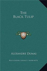 Black Tulip