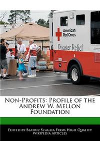 Non-Profits