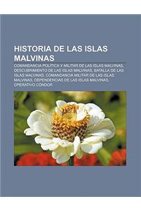 Historia de Las Islas Malvinas: Comandancia Politica y Militar de Las Islas Malvinas, Descubrimiento de Las Islas Malvinas