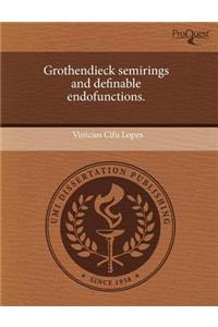 Grothendieck Semirings and Definable Endofunctions