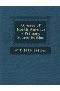 Grasses of North America