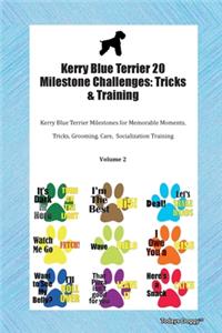 Kerry Blue Terrier 20 Milestone Challenges