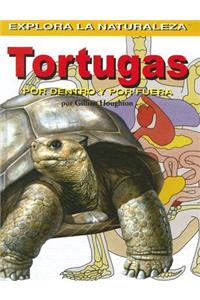 Tortugas: Por Dentro Y Por Fuera (Turtles: Inside and Out)