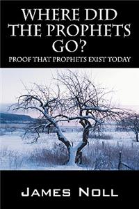 Where Did The Prophets Go?: Proof That Prophets Exist Today