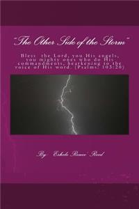 The Other Side of the Storm