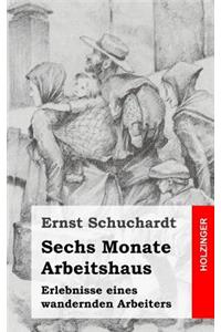 Sechs Monate Arbeitshaus