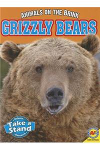 Grizzly Bears