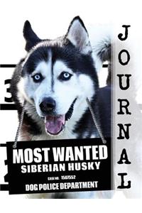 Most Wanted Siberian Husky Journal