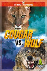 Cougar vs. Wolf