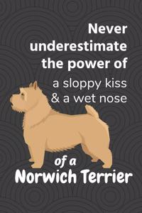 Never underestimate the power of a sloppy kiss & a wet nose of a Norwich Terrier
