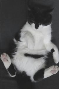 Funny Cat Blank Sketchbook