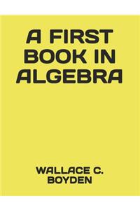A First Book in Algebra